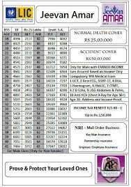 An Amar Jeevan Amar 855 In Hindi Lic New Term Plan Jeevan