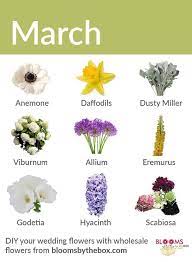 We did not find results for: 9 Flowers To Look Forward To In March Blooms By The Box