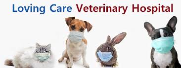 However, bbb does not verify the. Loving Care Veterinary Hospital Of West Milford Home Facebook