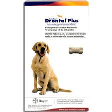 Doolin was extremely ill with hookworms for 8 months. Drontal Plus For Dogs Petmedmart Pet Pharmacy