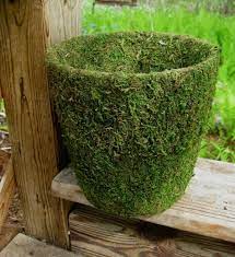 Der boden um die pflanzen in blumentöpfen ist nicht immer besonders schön. Kreative Ideen Fur Blumentopfe In Ihrem Garten Archzine Net