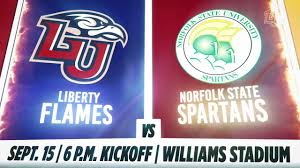 Image result for liberty norfolk st football