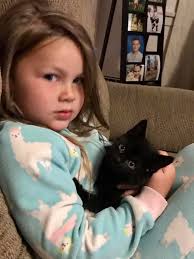 Adopt a pet in Otjiwarongo for N$550