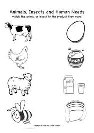 Animals Insects And Human Needs Match And Colour Activity English Writing Skills Animals Color Worksheets