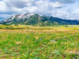 Elk mountain is a town in carbon county, wyoming, united states. Elk Mountain Wyoming Land For Sale Landflip