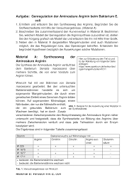 argininsynthese genwirkkette und genregulation endproduktrepression klausur mit erwartungshorizont unterrichtsmaterial im fach biologie dna aufbau biologie molekulare genetik