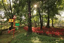 Ya,taman pustaka bunga ini seperti semakin menguatkan bahwa bandung memang kota kembang. Wisata Taman Bunga Di Bandung Infobdg Com