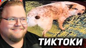 Моего друга похитили просто так😟 Я вам отомщю!