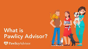 Florida is the #4 ranked state when it comes to the number of pets we quote per month. Florida Fl Pet Insurance Compare Top Companies Side By Side Pawlicy Advisor
