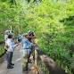 Guided Walk: CREW Bird Rookery Swamp event image