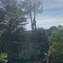 ECLIPSE TREE SERVICE - Updated May 2024 - Wharton, New Jersey ...
