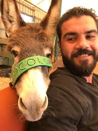 Safe Haven for Donkeys added a...