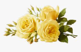 Send flowers in new york and washington dc. Yellow Roses Leaves 3 Green Yellow Flower Aesthetic Sticker Hd Png Download Kindpng