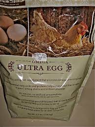 Update On Daisy Egg Breaks Inside Hen Raising Chickens The Hens Egg Breaks Inside Hen Eggshells Electrolytes For Chickens Omega Ultra Egg Sick Chicken Supplement For Hens Backyard Hencam