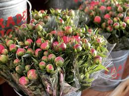 Maybe you would like to learn more about one of these? Trader Joe S Is Selling Peonies Again Just In Time For Warmer Weather