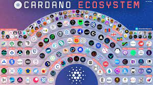As the legal custodian of the protocol and the owner of the cardano brand, the foundation works to drive adoption and partnerships, grow the cardano community globally, shape legislation and commercial standards, and ensure stakeholder accountability at. Cardano Ecosystem R Cardano