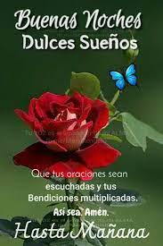 Buenas Noches En 2020 Mejores Frases De Buenas Noches Frases Lindas De Buenas Noches Imagenes De Feliz Noche