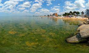 — отель все включено (all inclusive) с бассейном и собственным пляжем в анапе. More V Anape Cvetyot V Avguste 2019 Ili Net Mozhno Li Kupatsya V Period Cveteniya Morya