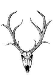 Black And White Deer Head Drawing Deer Skull Black And White Patterned Digital Art By Iiixtheory Digital Art Prints Skull Illustration Art