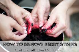 How To Remove Berry Stains From Your Hands One Hundred Dollars A Month