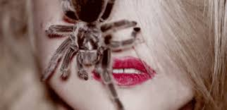Https Encrypted Tbn0 Gstatic Com Images Q Tbn And9gcquuutg7sf6hy7fbmsqctpgnu Aqc8fxwp5vq Usqp Cau