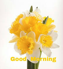 Image of a good morning with rose. Good Morning To All With Yellow Colors Of Flowers Steemit