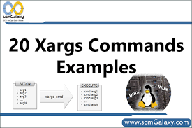 Linux Tutorials Xargs Commands Examples Devopsschool Com