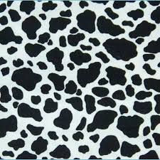 Cosmique studio is the best aesthetic clothing store. Cow Pattern Wallpapers Top Free Cow Pattern Backgrounds Wallpaperaccess