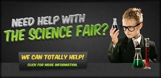 Add 8 drops of iodine. List Of Science Fair Ideas And Experiments You Can Do