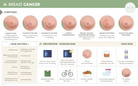 Early menstruation (before age 12), late menopause (after 55), having your first child at an older age, or never having given birth can also increase your risk for breast cancer. October Is Breast Cancer Awareness Month El Camino Women S Medical Group