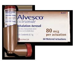 Image result for Inhaled Ciclesonide