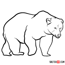 How To Draw A Brown Bear Wild Animals Sketchok Simple animal drawings simple animals to draw drawing step by step. how to draw a brown bear wild animals