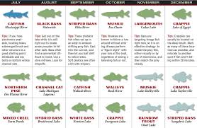 Lake of egypt fishing report. 2017 Illinois Fishing Forecast