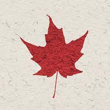 Ask anything you want to learn about daun maple by getting this user hasn't answered any questions yet. Daun Maple Home Facebook