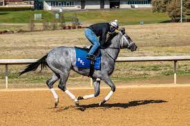 The main mission of templatesyard is to provide the best quality blogger templates which are professionally designed and perfectlly seo optimized to deliver best result for your blog. Kentucky Derby Contenders Pedigree Analysis Essential Quality Thoroughbred Racing Dudes