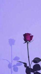 Purple Aesthetic Tumblr Dark Purple Aesthetic Purple Aesthetic Purple Wallpaper