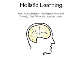Holistic Learning Ebook Scott H Young
