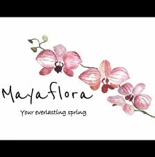 Mayaflora S.A.
