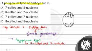 What Is Difference Between Embryo Sac And Megaspore Mother Cell In An  Angiosperm? - Quora