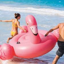 Jeux De Piscine Gonflables Pas Cher Matelas Ballons Bouees