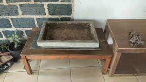 We did not find results for: Cara Membuat Pot Bonsai Dengan Cetakan Kayu Youtube