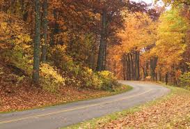 5737 airport rd nw роанок, va 24019 сша. Easy Ways To See Fall Colors In Virginia S Blue Ridge Roanoke Va