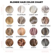 Hollyale I Will Help You Find What Hair Colour Looks Best On You For 5 On Fiverr Com Blonde Hair Color Chart Grey Blonde Hair Hair Color Chart
