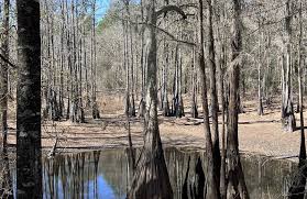 Best hikes and trails in Wing