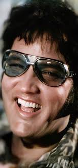 Funny elephant in winter gear