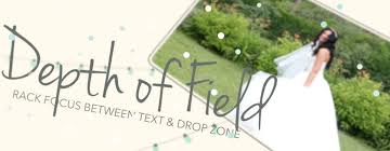 Words cannot describe how grateful we are so we've ma. Wedding Party Wedding Theme For Fcpx
