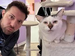 Petscop Party Cake and Eerie Series Discussion