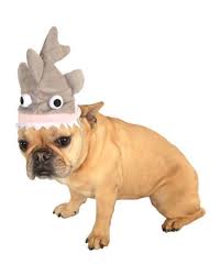 Haifisch Hut Fur Hunde Als Witziges Hundekostum Horror Shop Com