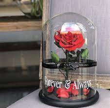 Red Rose In Glass Dome Enchanted
