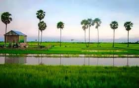 Image result for http://www.buddhasetaman.org/